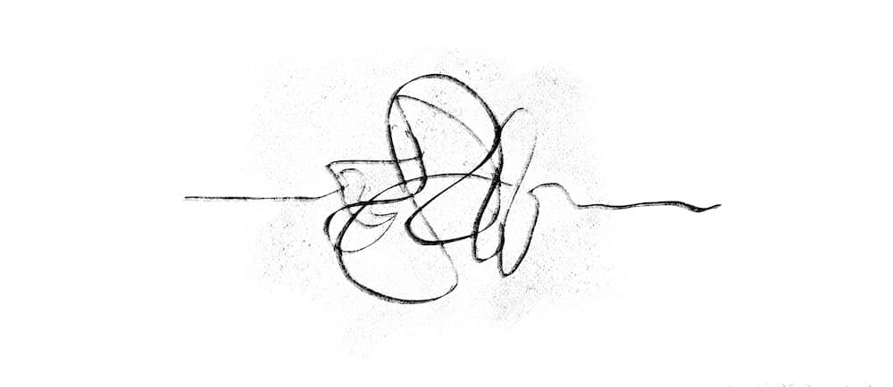 Ten working theories